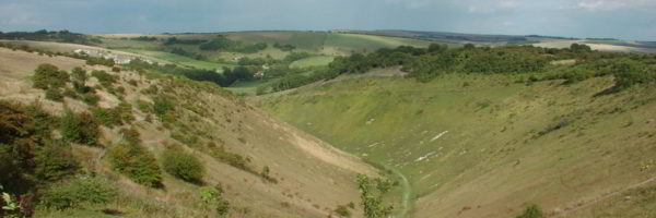 Days Out In West Sussex