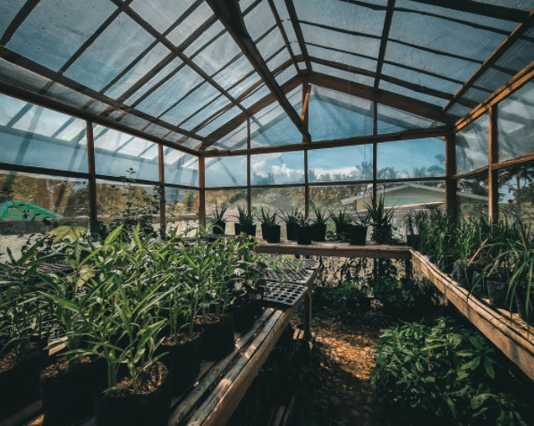 Greenhouse Article