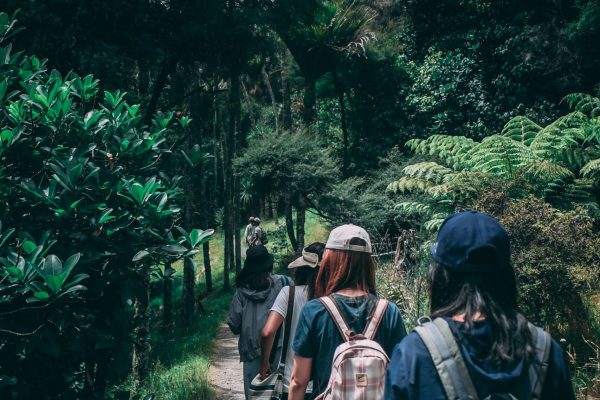 Pexels Kaichieh Chan 917510