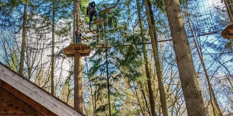 Go Ape Wyre Days Out In Worcestershire