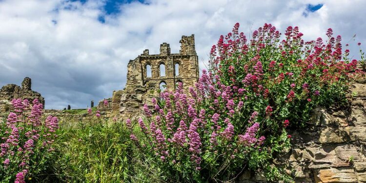 Days Out In Durham North East Barnard Castle