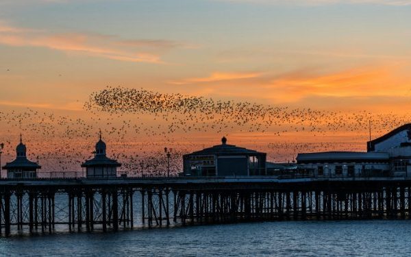 Blackpool The Uk's Premier Seaside Resort