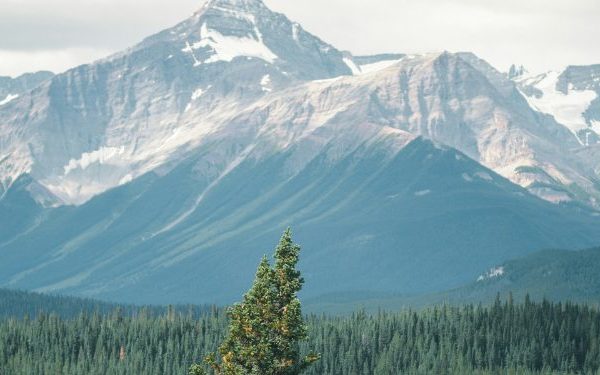 Family Friendly Adventures In The Canadian Rockies Some International Inspiration!