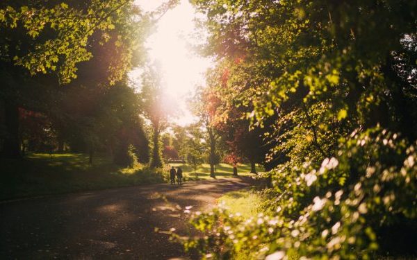 7 Travel Seo Strategies To Promote Your Destination Packages