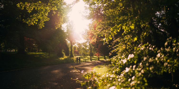 7 Travel Seo Strategies To Promote Your Destination Packages