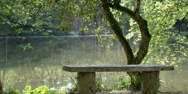 The Lost Gardens Of Heligan