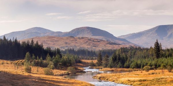 Galloway Forest Park