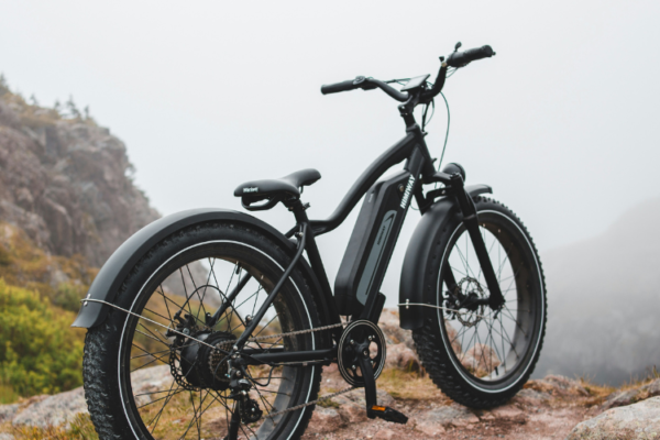 Ride Together, Go Further How Fiido Two Seater Electric Bikes Transform Everyday Trave