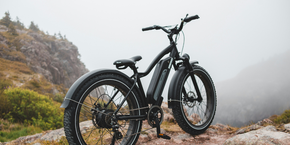 Ride Together, Go Further How Fiido Two Seater Electric Bikes Transform Everyday Trave