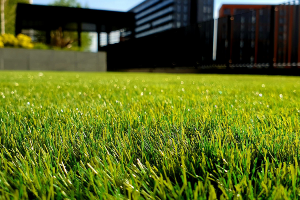 Why A Well Kept Lawn Can Change How You Enjoy Your Garden