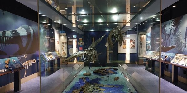 Peterborough Museum & Art Gallery